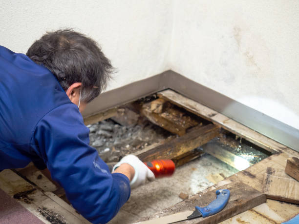 Stilwell, OK Mold Remediation Company