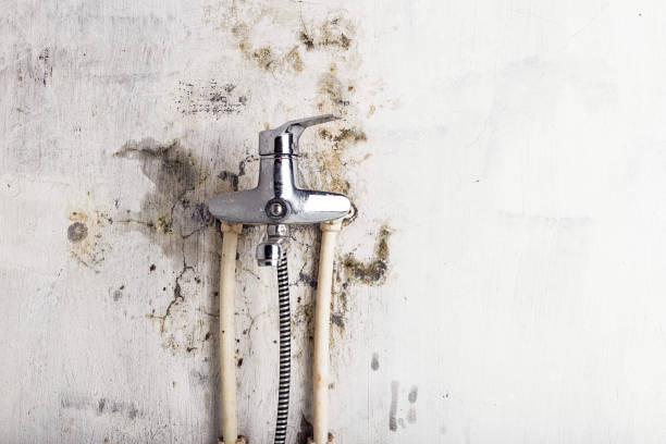 Best Commercial Mold Remediation in Stilwell, OK